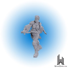 D&D Nolzur's Marvelous Miniatures: Swashbuckler